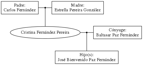 This is a graph with borders and nodes. Maybe there is an Imagemap used so the nodes may be linking to some Pages.