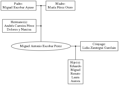 This is a graph with borders and nodes. Maybe there is an Imagemap used so the nodes may be linking to some Pages.