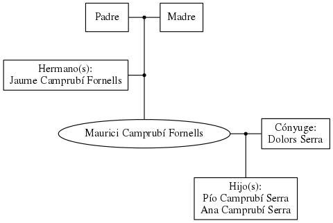 This is a graph with borders and nodes. Maybe there is an Imagemap used so the nodes may be linking to some Pages.