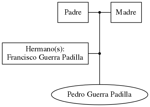 This is a graph with borders and nodes. Maybe there is an Imagemap used so the nodes may be linking to some Pages.