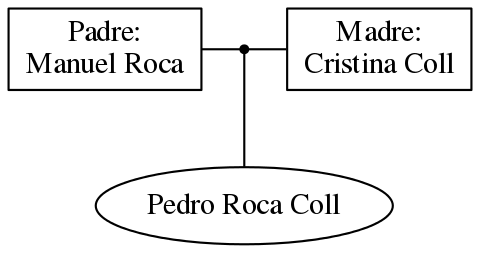 This is a graph with borders and nodes. Maybe there is an Imagemap used so the nodes may be linking to some Pages.