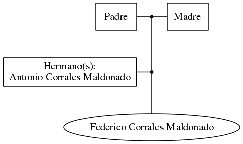 This is a graph with borders and nodes. Maybe there is an Imagemap used so the nodes may be linking to some Pages.