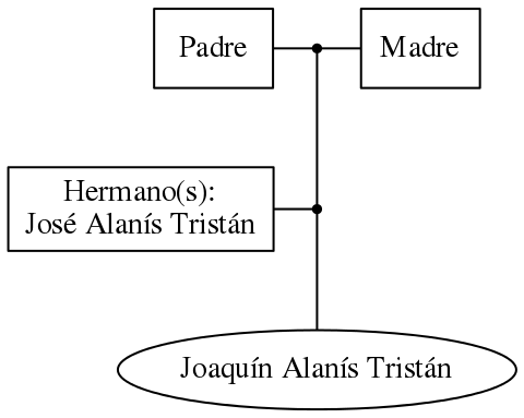 This is a graph with borders and nodes. Maybe there is an Imagemap used so the nodes may be linking to some Pages.