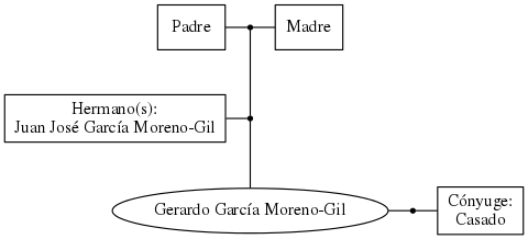 This is a graph with borders and nodes. Maybe there is an Imagemap used so the nodes may be linking to some Pages.