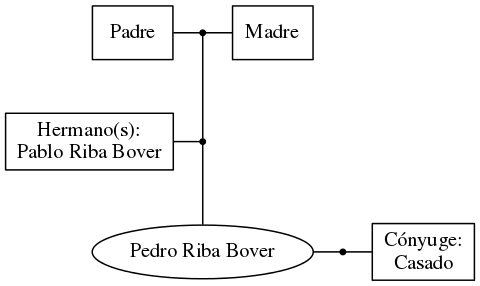 This is a graph with borders and nodes. Maybe there is an Imagemap used so the nodes may be linking to some Pages.