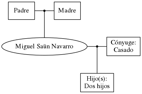 This is a graph with borders and nodes. Maybe there is an Imagemap used so the nodes may be linking to some Pages.