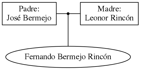 This is a graph with borders and nodes. Maybe there is an Imagemap used so the nodes may be linking to some Pages.