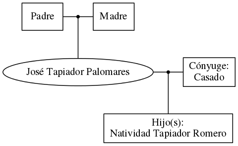 This is a graph with borders and nodes. Maybe there is an Imagemap used so the nodes may be linking to some Pages.