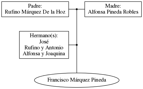 This is a graph with borders and nodes. Maybe there is an Imagemap used so the nodes may be linking to some Pages.