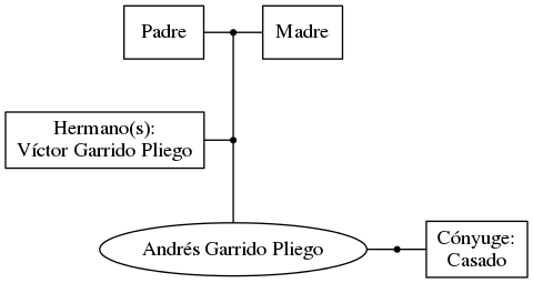 This is a graph with borders and nodes. Maybe there is an Imagemap used so the nodes may be linking to some Pages.