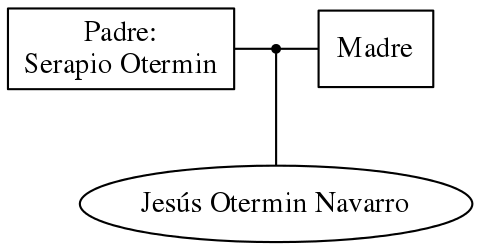 This is a graph with borders and nodes. Maybe there is an Imagemap used so the nodes may be linking to some Pages.