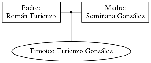 This is a graph with borders and nodes. Maybe there is an Imagemap used so the nodes may be linking to some Pages.