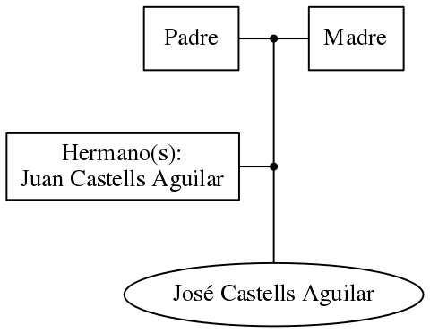 This is a graph with borders and nodes. Maybe there is an Imagemap used so the nodes may be linking to some Pages.