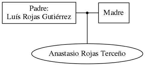 This is a graph with borders and nodes. Maybe there is an Imagemap used so the nodes may be linking to some Pages.