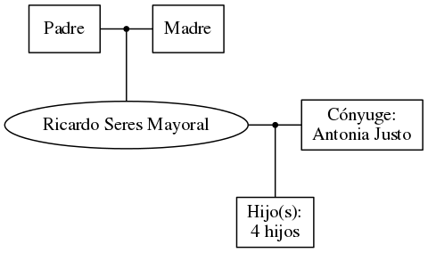 This is a graph with borders and nodes. Maybe there is an Imagemap used so the nodes may be linking to some Pages.