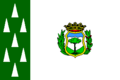 Bandera de Cercedilla