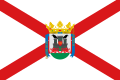 Bandera de Vitoria-Gasteiz