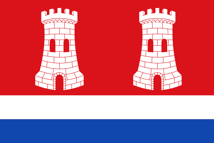 Archivo:Bandera de Castrogonzalo.svg