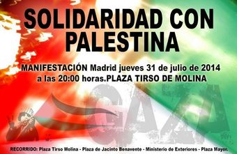 Solidaridad-palestina-620x403.jpg