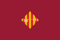 Bandera de Alzira