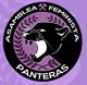 Asamblea Feminista Panteras