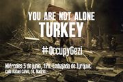 Occupygezi-5m-madrid-BLxzcUrCAAEbZRS.jpg