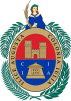 Escudo de Elche