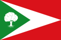 Bandera de Tosantos