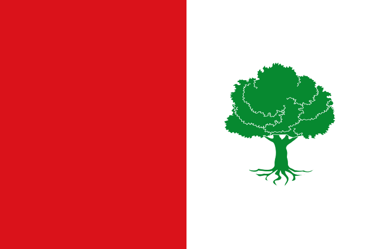 Archivo:Bandera de El Peral.svg