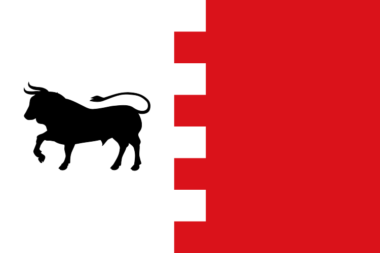 Archivo:Bandera de Villavaquerín.svg