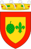 Escudo de Bagà