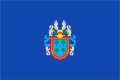 Bandera de Barañain