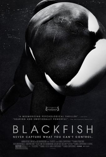 Blackfish.jpg