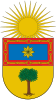 Escudo de Urraul Bajo